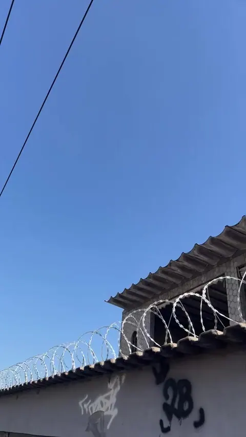 Capa do vídeo: Concertina em cima de um muro