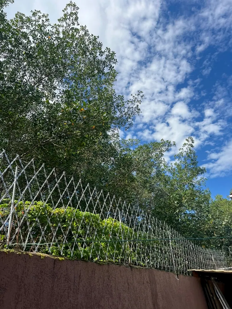 Rede laminada no alto de um muro, com árvores e nuvens ao fundo